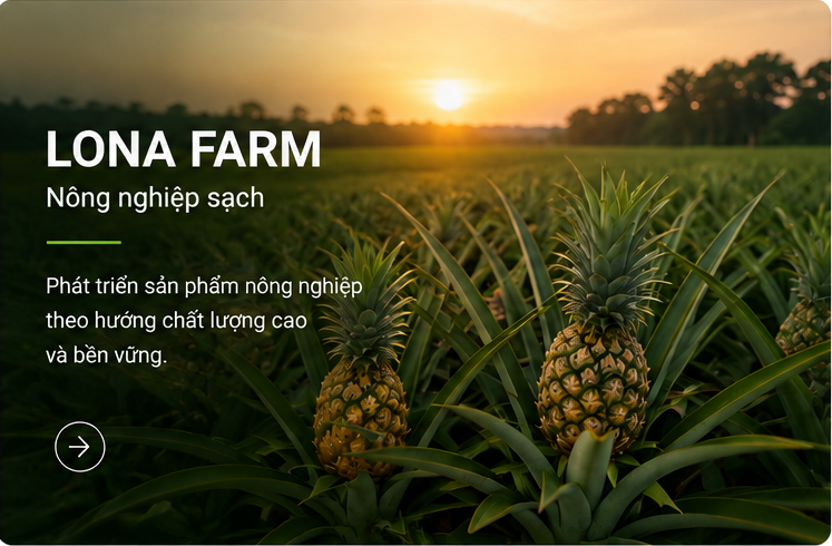 Lona Fram xây dựng sản phẩm sách, sức khỏe của gia đình